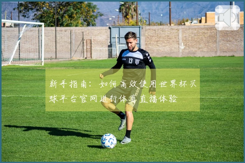 新手指南:如何高效使用世界杯买球平台官网进行体育直播体验