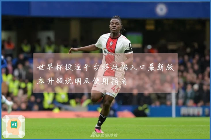 世界杯投注平台移动端入口最新版本升级说明及使用指南
