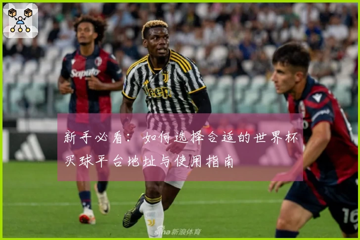 新手必看:如何选择合适的世界杯买球平台地址与使用指南