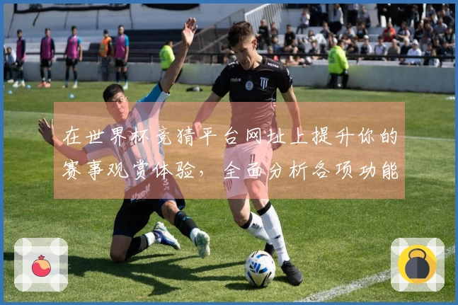 在世界杯竞猜平台网址上提升你的赛事观赏体验，全面分析各项功能与使用心得