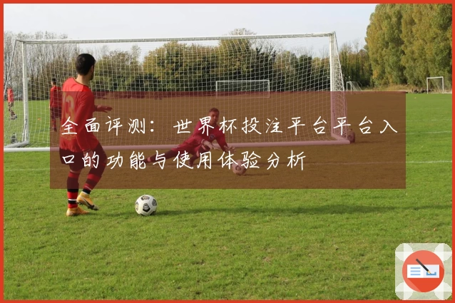 全面评测：世界杯投注平台平台入口的功能与使用体验分析